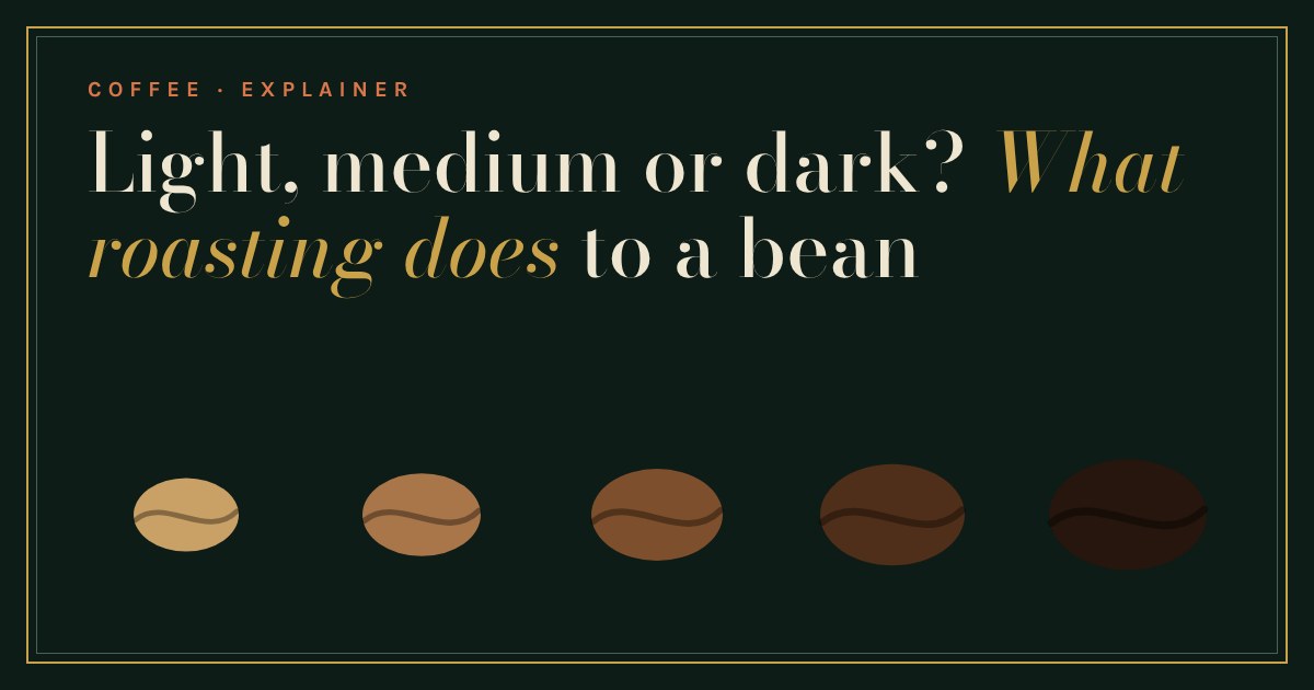 Five coffee beans from pale light roast to near-black dark roast, under the title