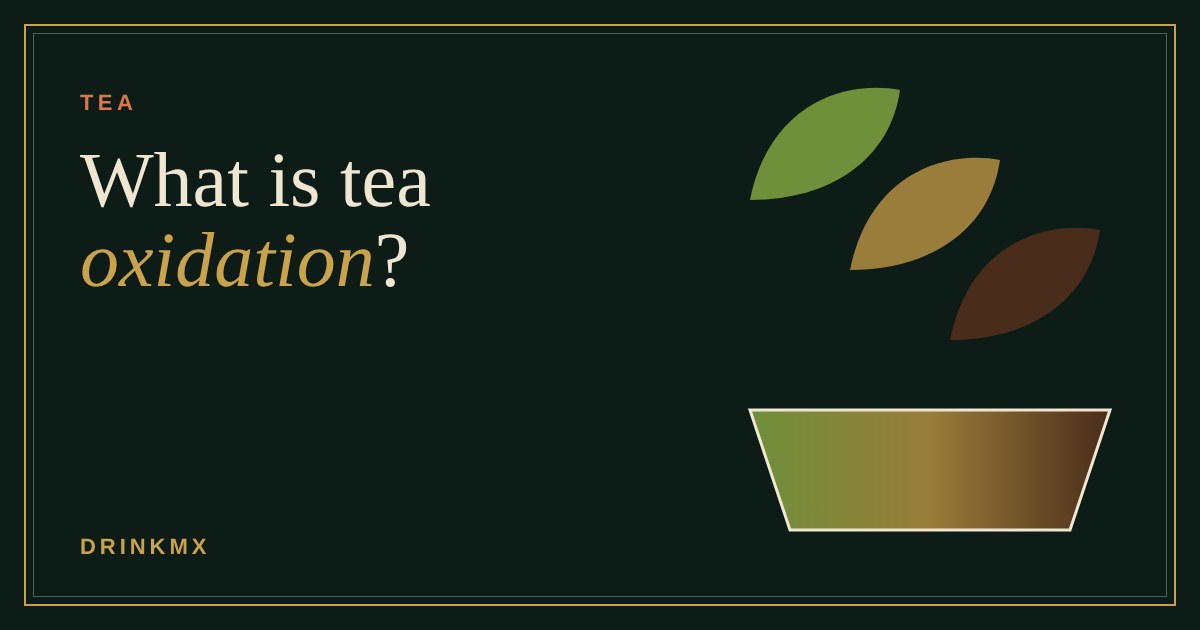 Three tea leaves shading from green to brown above a cup that darkens the same way
