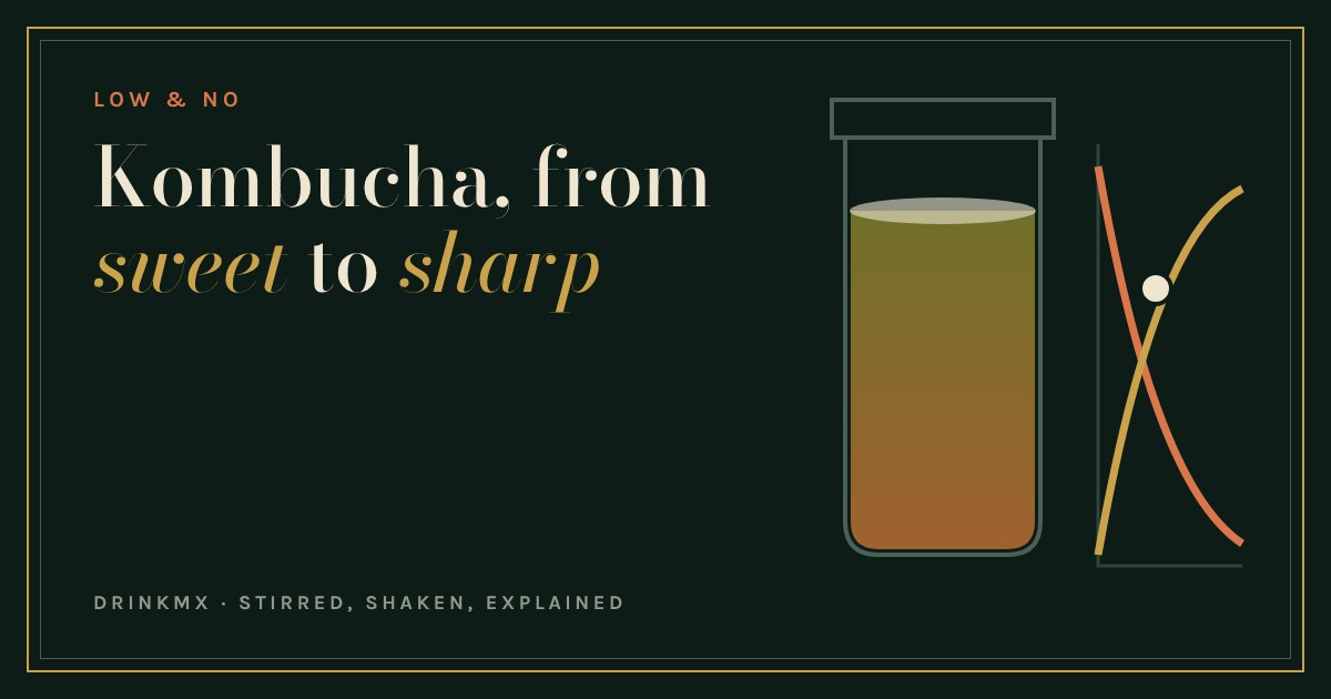 Kombucha jar shading from olive to amber beside crossing sweet and tart curves