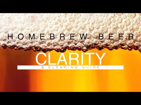 Homebrew Beer Clearing & Clarity Guide 4K HD