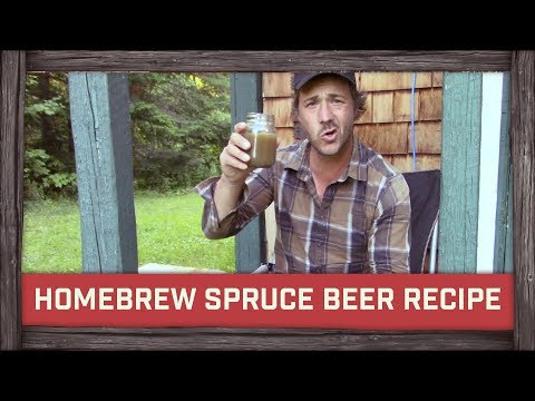 Homebrew Spruce Beer Recipe!