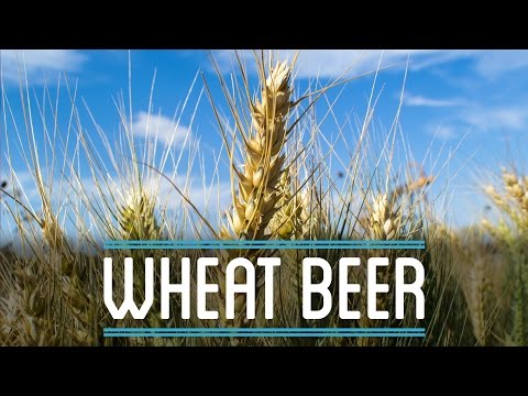 Wheat Beer | How to Brew Everything