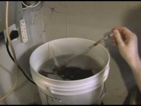 Easy Home Brewing Beer with Honey