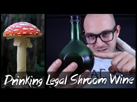 Drinking Amanita Muscaria Mushrooms