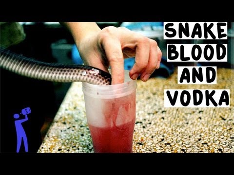 Drinking Snake Blood and Vodka in Vietnam - Tipsy Bartender
