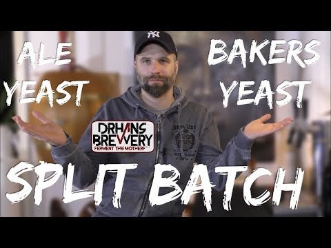 Brewers yeast VS Bakers yeast - split batch fermentation experiment