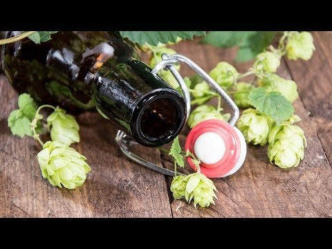 How to Buy Brewing Supplies | Beer Brewing