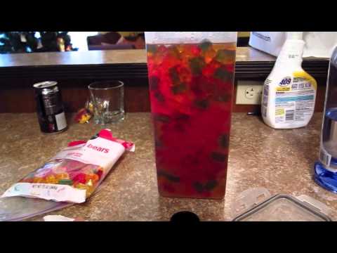 Jumbo Drunken Gummy Bears Best Vodka Recipe Yet Part 2