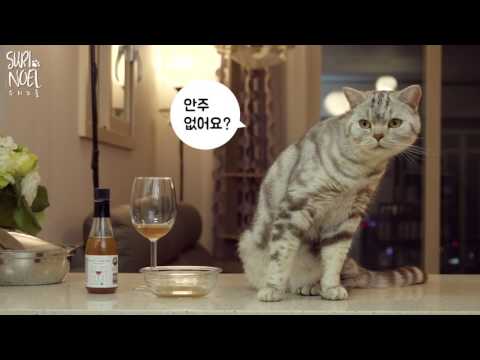 Cats Get Drunk by Drinking Cat Wine