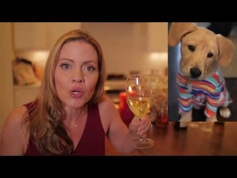 Social Media/Political Wine Pairings | The Holderness Family