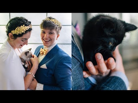 Couple Replaces Cocktails at Wedding with Rescue Kittens